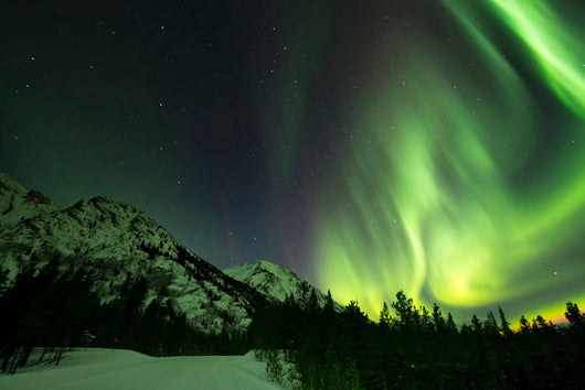 Northern Lights over Annie Wall Decal Design 2