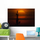 Transit Venus behind Communication Wall Decal