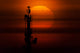 Transit Venus behind Communication Wall Decal