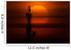 Transit Venus behind Communication Wall Decal