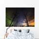 Moonrise and Aurora Borealis Wall Decal