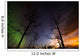 Moonrise and Aurora Borealis Wall Decal