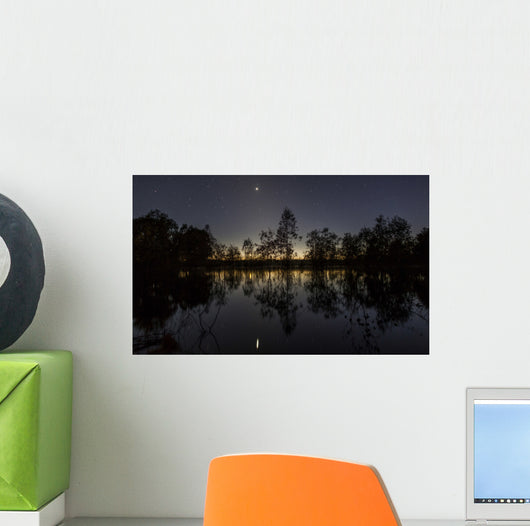 Venus and Twilight Reflected Wall Decal
