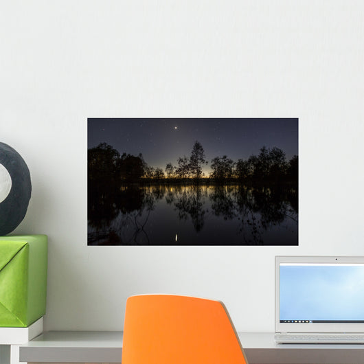 Venus and Twilight Reflected Wall Decal