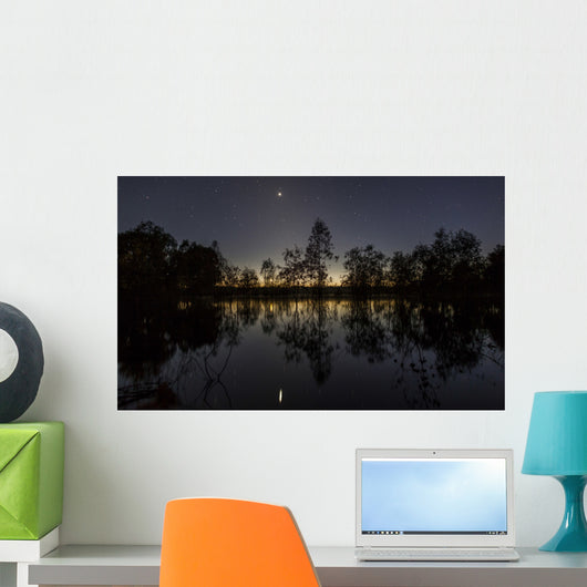 Venus and Twilight Reflected Wall Decal