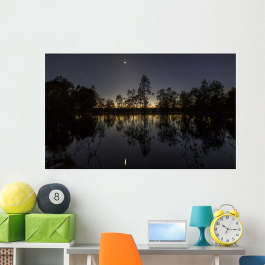 Venus and Twilight Reflected Wall Decal