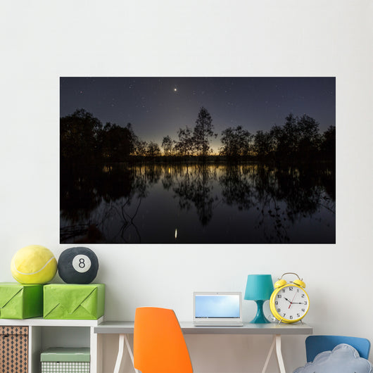 Venus and Twilight Reflected Wall Decal