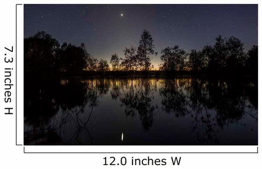 Venus and Twilight Reflected Wall Decal