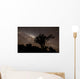 Star Trails and Milky Wall Decal