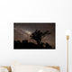 Star Trails and Milky Wall Decal
