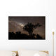 Star Trails and Milky Wall Decal