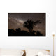 Star Trails and Milky Wall Decal