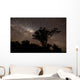 Star Trails and Milky Wall Decal