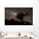Star Trails and Milky Wall Decal