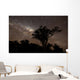 Star Trails and Milky Wall Decal