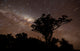 Star Trails and Milky Wall Decal