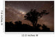 Star Trails and Milky Wall Decal