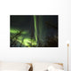 Bright Aurora Borealis Lake Wall Decal