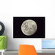 Moon as Seen from Wall Decal