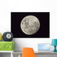 Moon as Seen from Wall Decal