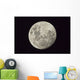 Moon as Seen from Wall Decal