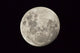 Moon as Seen from Wall Decal