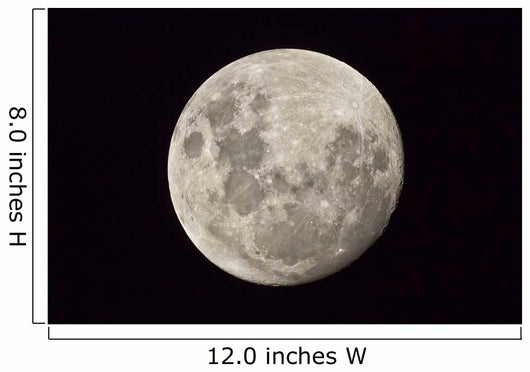 Moon as Seen from Wall Decal