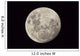 Moon as Seen from Wall Decal