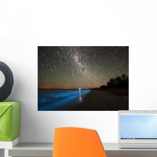 Star Trails and Bioluminescence Wall Decal Design 2