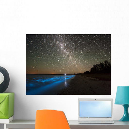 Star Trails and Bioluminescence Wall Decal Design 2