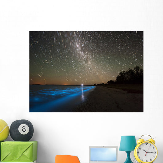 Star Trails and Bioluminescence Wall Decal Design 2