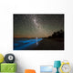 Star Trails and Bioluminescence Wall Decal Design 2