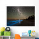 Star Trails and Bioluminescence Wall Decal Design 2