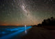 Star Trails and Bioluminescence Wall Decal Design 2