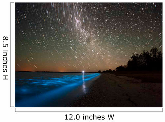 Star Trails and Bioluminescence Wall Decal Design 2
