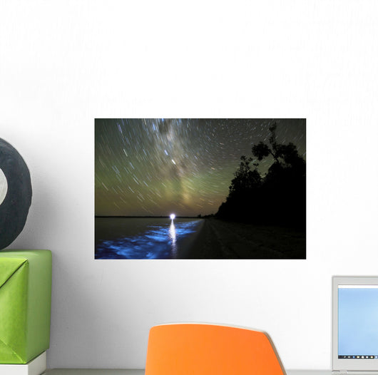 Star Trails and Bioluminescence Wall Decal Design 1
