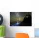 Star Trails and Bioluminescence Wall Decal Design 1