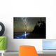 Star Trails and Bioluminescence Wall Decal Design 1