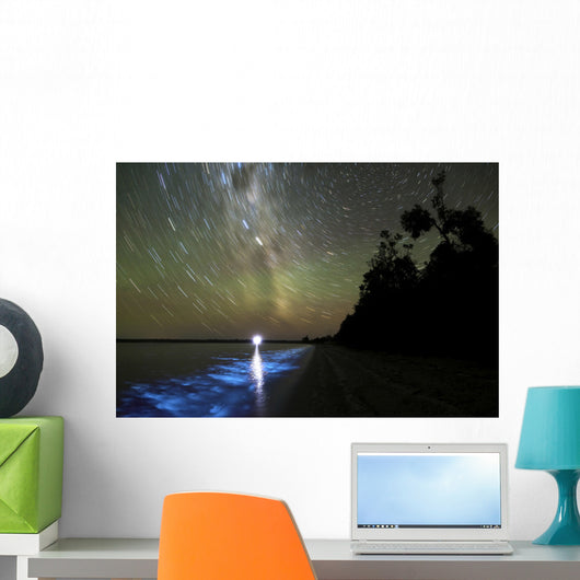 Star Trails and Bioluminescence Wall Decal Design 1