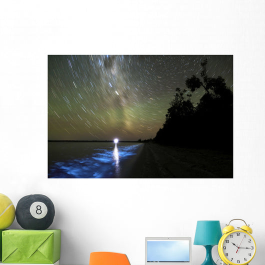 Star Trails and Bioluminescence Wall Decal Design 1