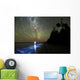 Star Trails and Bioluminescence Wall Decal Design 1