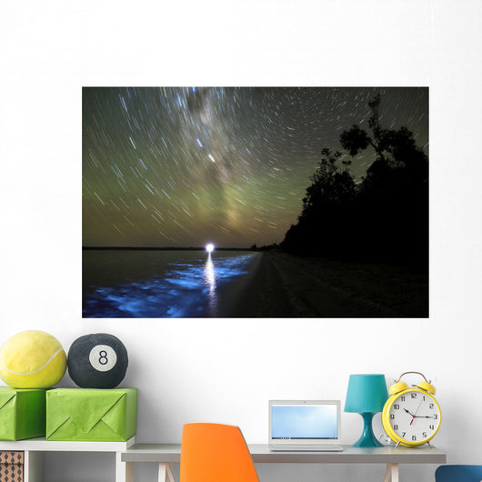 Star Trails and Bioluminescence Wall Decal Design 1