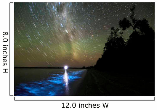 Star Trails and Bioluminescence Wall Decal Design 1