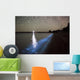 Star Trails and Bioluminescence Wall Decal Design 3