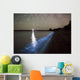 Star Trails and Bioluminescence Wall Decal Design 3