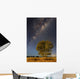 Milky Way and Tree Wall Decal
