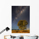 Milky Way and Tree Wall Decal
