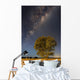 Milky Way and Tree Wall Decal
