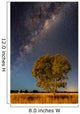 Milky Way and Tree Wall Decal