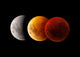 Composite Image Lunar Eclipse Wall Decal